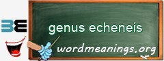 WordMeaning blackboard for genus echeneis